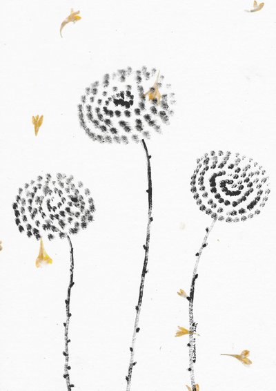 Florescer de pétalas a cair de Santhosh ch