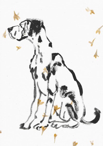 Dogue alemão gentil e flores de Santhosh ch