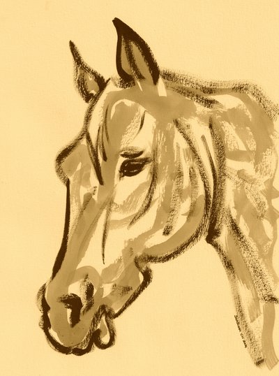 Gracioso desenho de cavalo de Santhosh ch