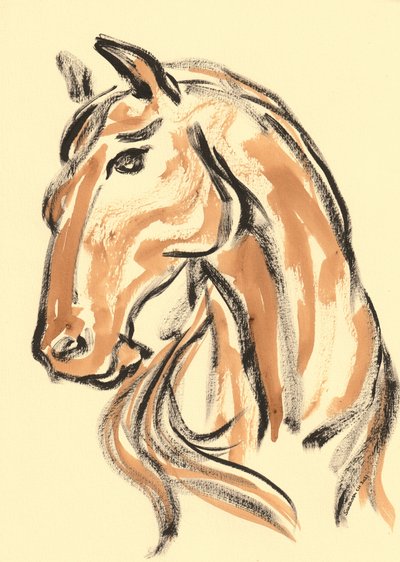 Perfil majestoso de cavalo de Santhosh ch