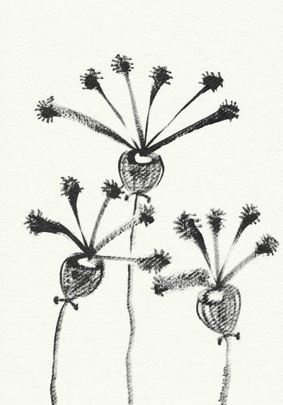 Desenho botânico minimalista de Santhosh ch