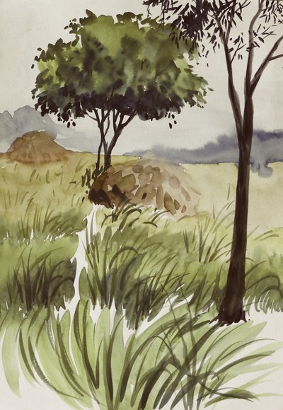 Campos verdes e tranquilos de Santhosh ch