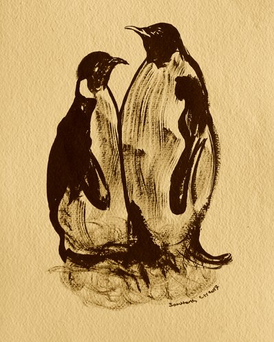 Retrato de família de pinguins de Santhosh ch