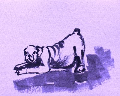 Alongamento brincalhão de bulldogue de Santhosh ch