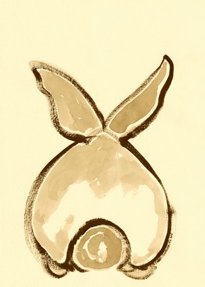 Dorso brincalhão de coelho de Santhosh ch