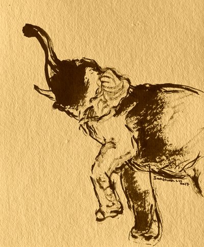 Pose brincalhona de elefante de Santhosh ch