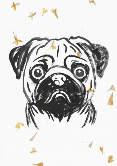 Cão pug com pétalas a cair de Santhosh ch