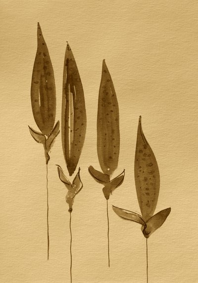 Plantas em aguarela sépia de Santhosh ch