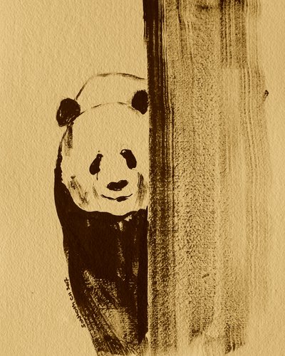Panda tímido a espreitar de Santhosh ch