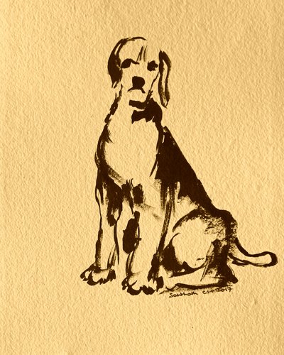 Esboço de beagle sentado de Santhosh ch