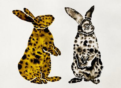 Par de coelhos malhados de Santhosh ch