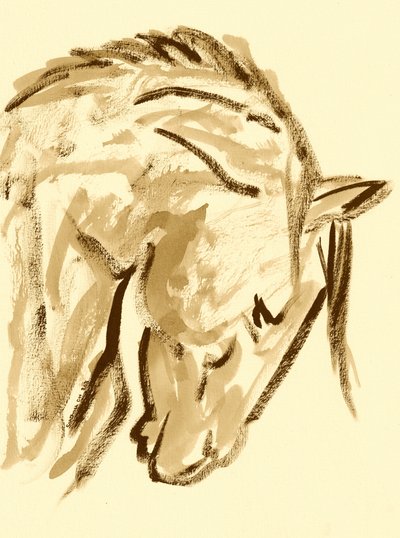 Esboço de cavalo selvagem de Santhosh ch