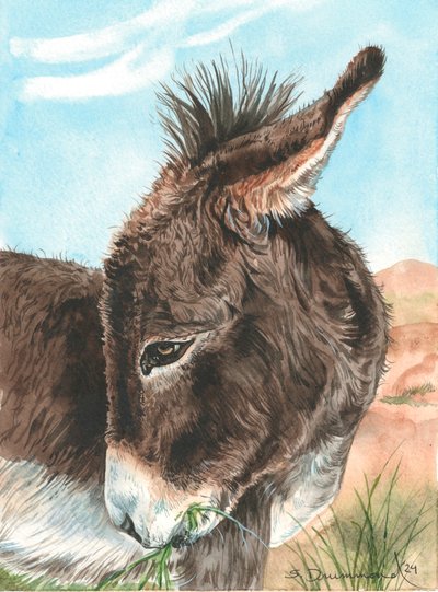Bashful, 2024 (Aguarela sobre papel) de Sarah Drummond