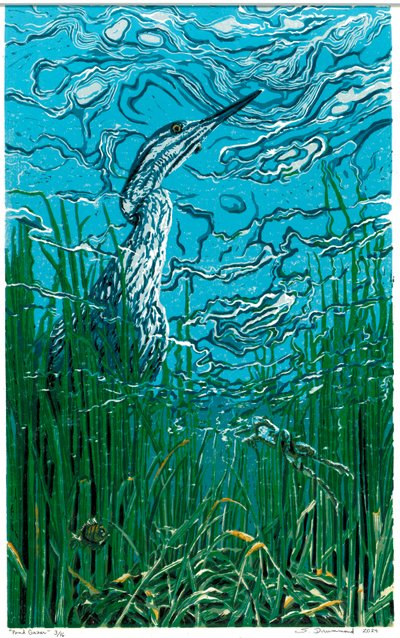Observador de lagoas, 2024 (xilogravura) de Sarah Drummond