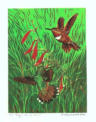 Rufus Pas de Deux, 2016 (xilogravura) de Sarah Drummond