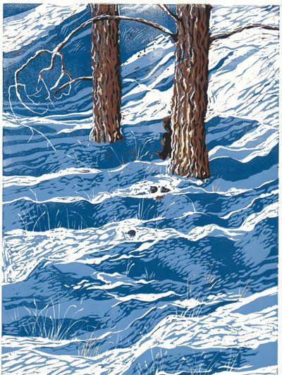 Queda de neve na primavera, 2016 (linóleo) de Sarah Drummond