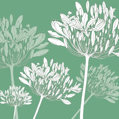 Agapanthus breeze, 2005 (digital) de Sarah Hough