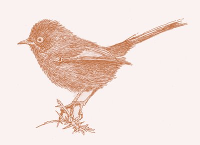 Dartford Warbler, 2017 de Sarah Hough