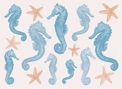 Cavalos marinhos e Estrela do Mar, 2017 de Sarah Hough