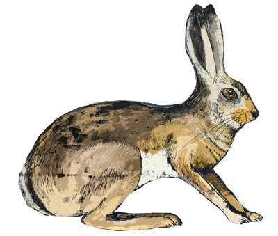 Hare, 2024 (monoprint) de Sarah Thompson Engels