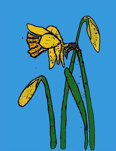 Daffodils,2015 (monoimpressão com tintas) de Sarah Thompson Engels