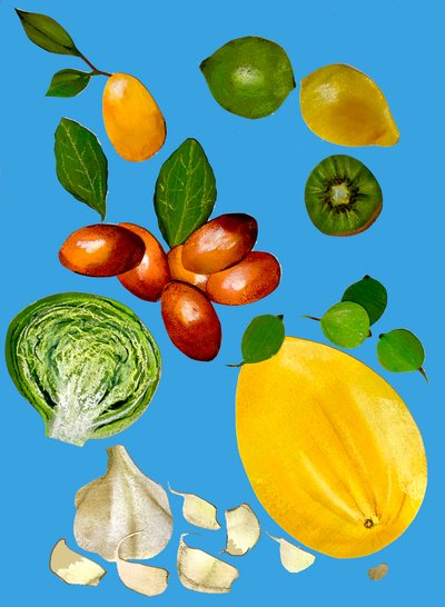 Frutas e legumes 2020 (cutout) de Sarah Thompson Engels