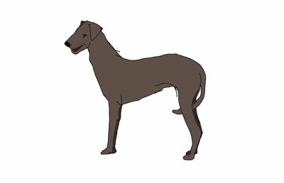 Hound,2018,(desenho digital) de Sarah Thompson Engels