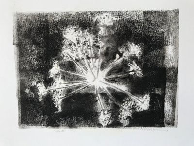 Seedhead II,2020,(monoprint) de Sarah Thompson Engels