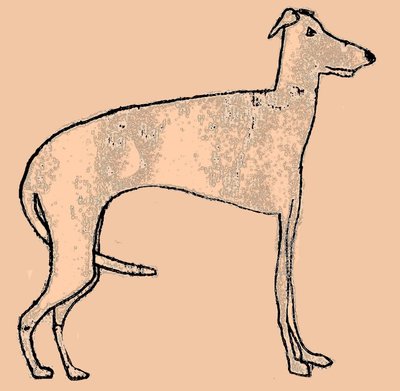 Cão magro de Sarah Thompson Engels