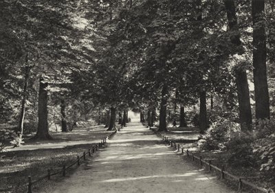 Berlim: Tiergarten (foto a p/b) de Sasha Stone
