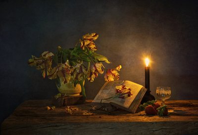  de Saskia Dingemans