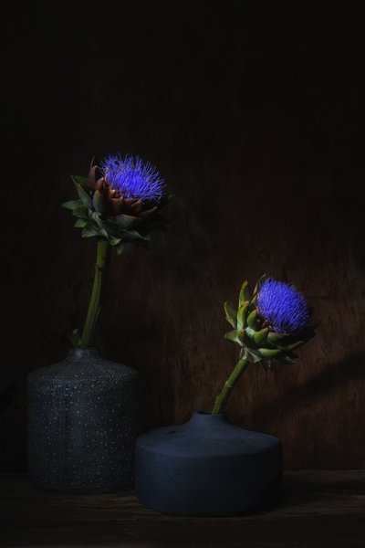  de Saskia Dingemans