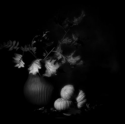  de Saskia Dingemans