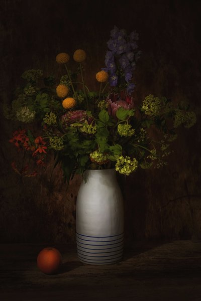  de Saskia Dingemans