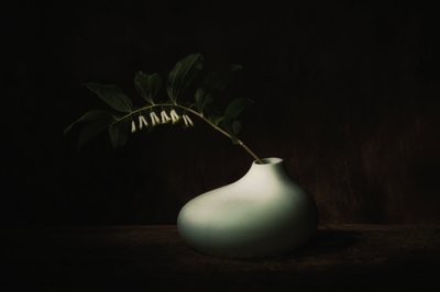  de Saskia Dingemans