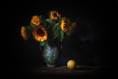  de Saskia Dingemans