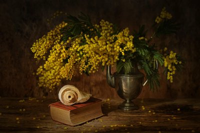  de Saskia Dingemans