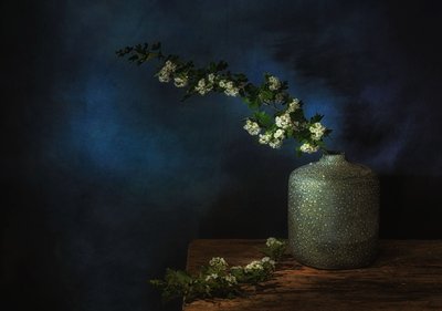  de Saskia Dingemans