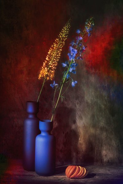  de Saskia Dingemans