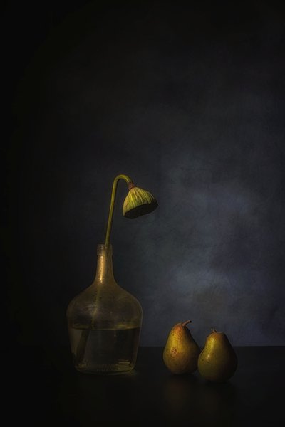  de Saskia Dingemans