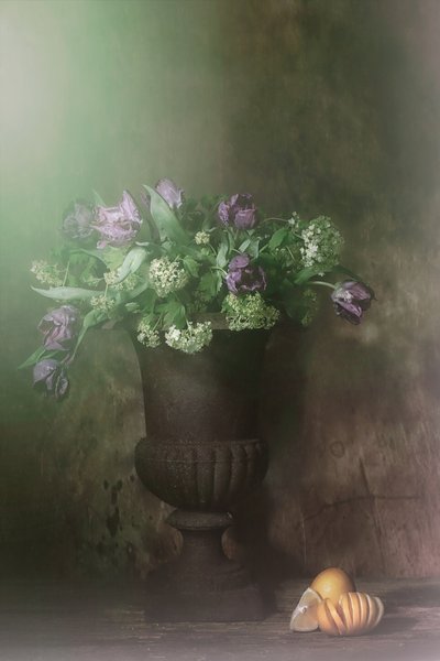  de Saskia Dingemans