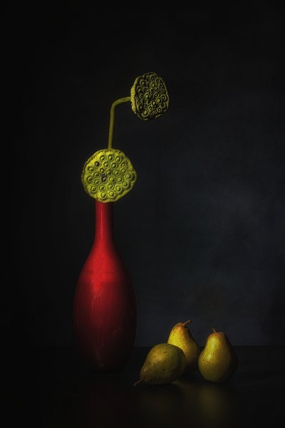  de Saskia Dingemans