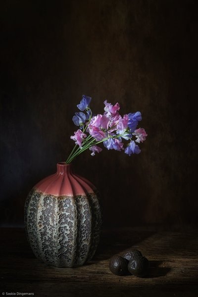  de Saskia Dingemans