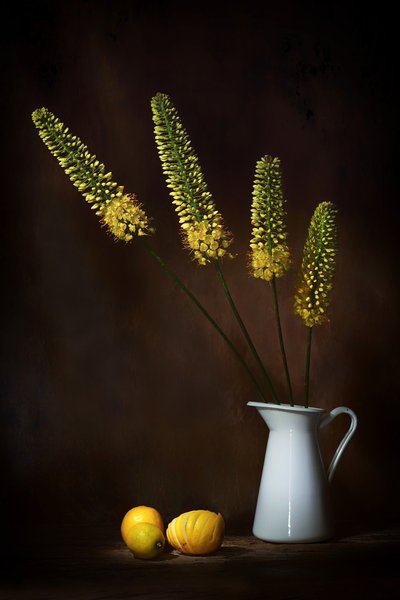  de Saskia Dingemans