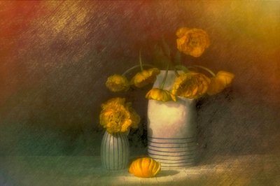  de Saskia Dingemans