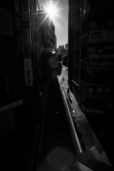 Caminho urbano à luz do sol de Satoshi Hata