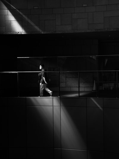Caminhando pela Luz de Satoshi Hata