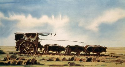 Atravessar os Pampas de carroça de Saubidet Tito