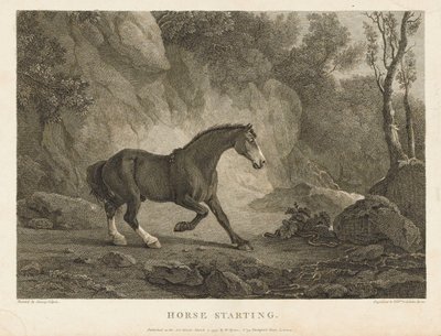 Arranque do cavalo (gravura) de Sawrey (after) Gilpin
