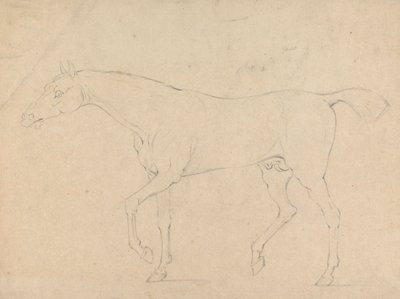 Um cavalo de Sawrey Gilpin